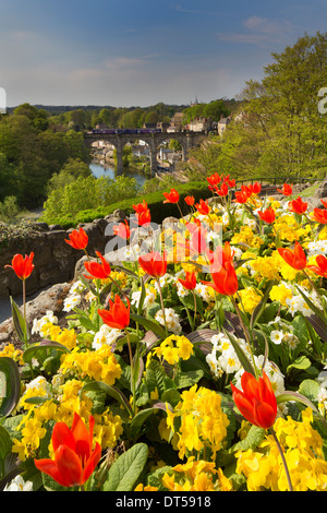 Knaresborough viaduct viewed from the castle garden. Stock Photo