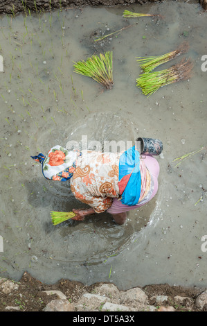 Igorot woman, North Luzon, Philippines Stock Photo - Alamy