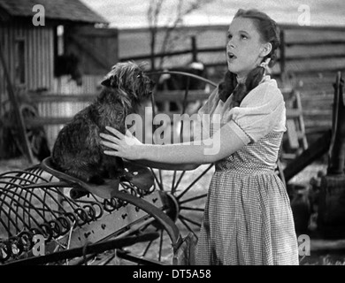 Judy Garland, Toto, in 