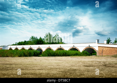 Nine-holded bridge, Hortobagy Hungary. Stock Photo