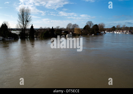 River Thames upstream in flood Bourne End Bucks UK Stock Photo