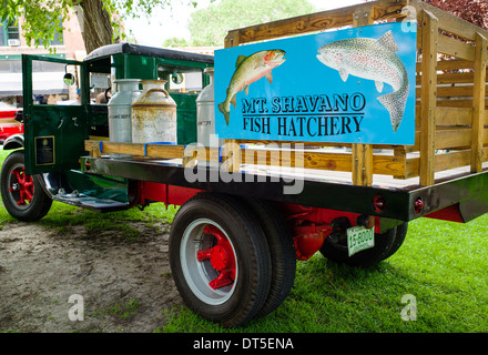 1934 International truck used to haul trout, Colorado Fish &amp; Game ...