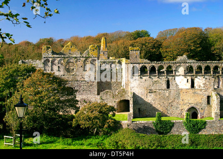Ruined Buildings, Bishops Palace, St David’s Cathedral, St David’s City, Pembrokeshire National Park, Wales, UK Stock Photo