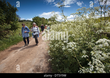 Walkers on the Winchcombe Way, Cotswolds, UK Stock Photo