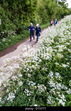 Walkers on the Winchcombe Way, Cotswolds, UK Stock Photo