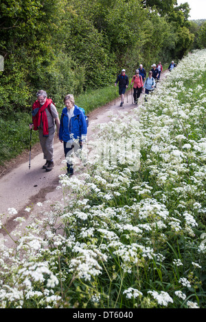 Walkers on the Winchcombe Way, Cotswolds, UK Stock Photo
