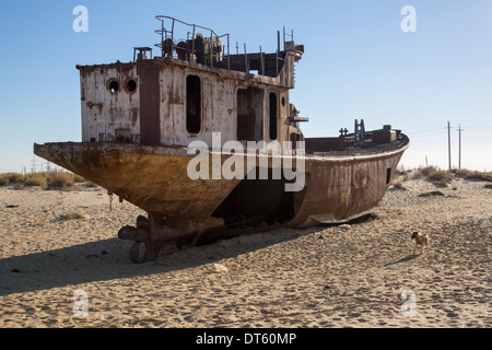 A dog stands in the ship graveyard near the former port of Moynaq on the Aral Sea, Uzbekistan. Stock Photo