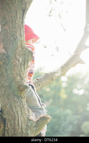 Lifestyle summer scene. Young girl in green park climbing in a tree. Stock Photo