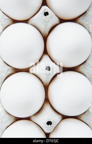View from overhead of free range, organic eggs in a cardboard egg box carton. Stock Photo