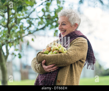 Happy senior woman with armful of apples Stock Photo