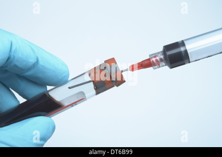 Nitrile - gloved hand holding disposable plastic medical syringe inserted into blue blood tube containing synthetic blood Stock Photo
