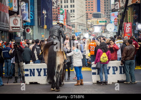 A mounted NYPD officer entertains tourists in Times Square in New York on Sunday, February 2, 2014. (© Richard B. Levine) Stock Photo