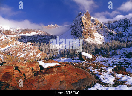 Winter in Cottonwood Canyon mountains Wasatch Range. Pine forests in snow with low cloud. The Twin Peaks wilderness area. Stock Photo