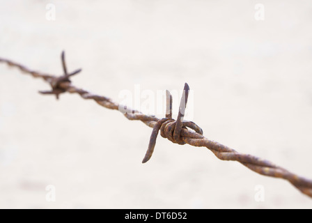 Close up detail of rusty barbed wire Stock Photo