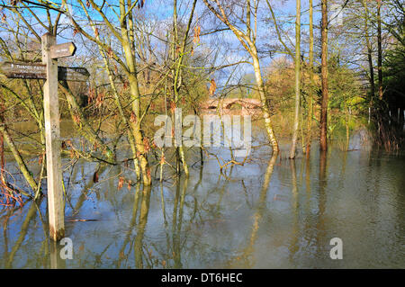 Sonning-on-Thames, Berkshire, UK.  10 February 2014.  The Thames Path to Shiplake and Henley and Reading has disappeared due to severe flooding in the Thames Valley.  With more rain expected the river could rise further towards the end of the week. Credit:  Wendy Johnson/Alamy Live News Stock Photo