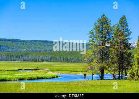 Anglers on the Gibbon River near Paintpot Hill, The Grand Loop Road, Yellowstone National Park, Wyoming, USA Stock Photo