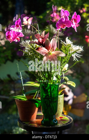 Flowers in morning sunlight include orchids (orchidaceae); chrysanthemums (genus chrysanthemums, family asteraceae) and lilly Stock Photo