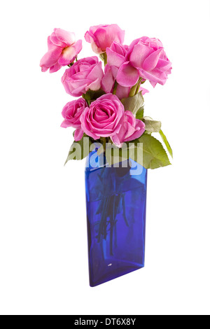 beautiful pink roses in blue vase with good isolation Stock Photo