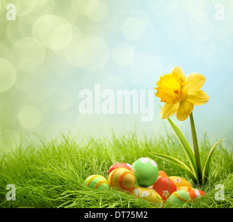 Easter eggs on green grass with daffodil flower Stock Photo