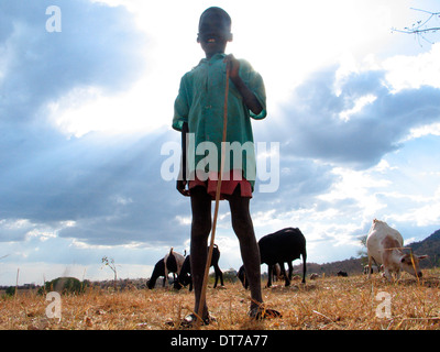 ipjr10240175 uganda february 2006 the karimojong people. iriiri town and  surounding area north eastern uganda. the karimojong Stock Photo - Alamy