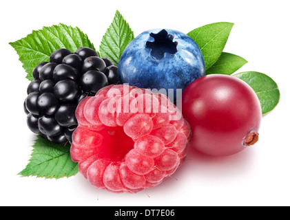 Collection of wild berries on a white background. Stock Photo