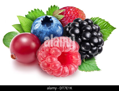 Collection of wild berries on a white background. Stock Photo