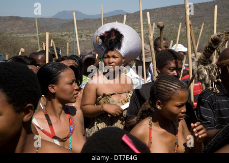 Zulu Bridegroom Milton Mbele marries his four Zulu Brides Thobile, Zanele, Smangele and Baqinisile at his home stead in rural Stock Photo