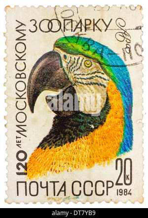 USSR - CIRCA 1984: A stamp printed by Russia showing parrot, 120-th anniversary of the Moscow Zoo, circa 1984 Stock Photo