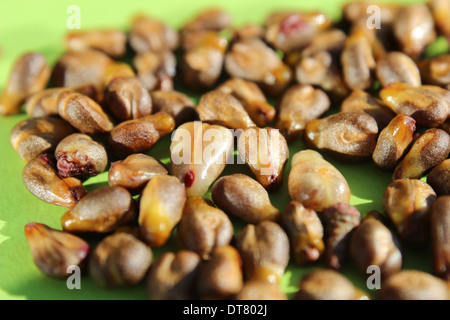 grape and seeds, close up Stock Photo