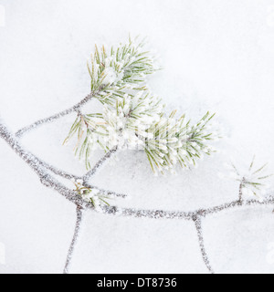 Frozen branch and snow background Stock Photo