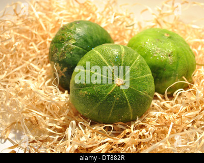 Globe squash Stock Photo