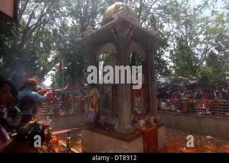 June 17, 2013 - Kashmiri (Pandit) Hindu devotee prays at the Kheer Bhawani Temple at Tulla Mulla Ganderbal, northeast of Srinagar, the summer capital of indian kashmir , on Monday 17/6/2013. Thousands of Hindu devotees attended the prayers in the historic Kheer Bhavani Temple. A large portion of Hindu community (locally called Pandits) migrated from the Muslim majority areas of the Indian Kashmir to Jammu city and northern states of India after anti-Indian armed insurgency broke down in the region in 1989. At least 219 Kashmiri Hindus were killed in the two decade long militancy in the regio Stock Photo