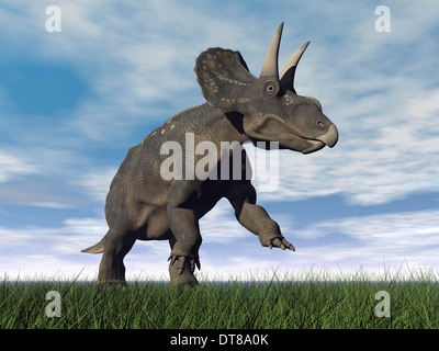 Nedoceratops dinosaur grazing in grassy field. Stock Photo