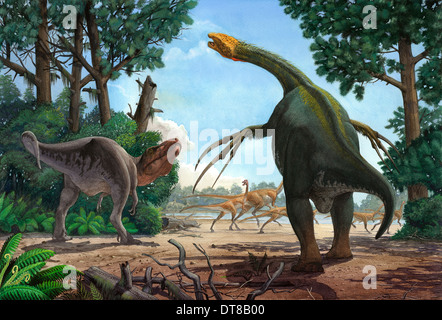 A Therizinosaurus emerges from the undergrowth to prevent a young Tarbosaurus in his hunt for Gallimimus. Stock Photo