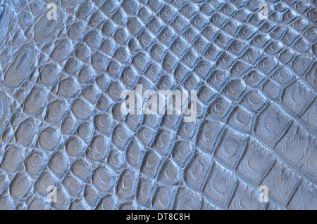 Crocodile skin pattern Stock Photo