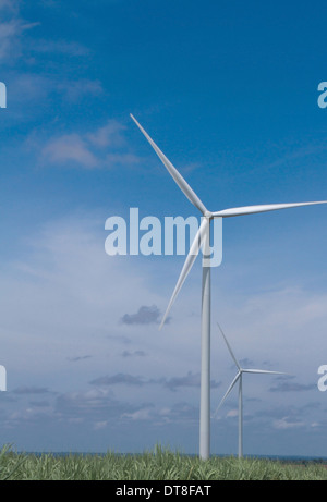 Wind turbines in the field to generating electricity, the alternative power Stock Photo
