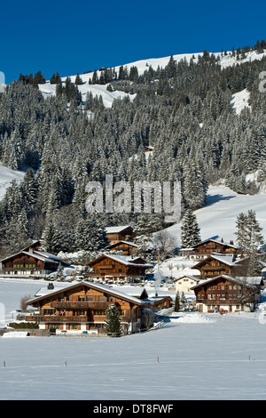 Swiss chalets in the winterly landscape of the Saanenland, Schoenried, canton of Bern, Switzerland Stock Photo