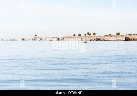 Tail of an island in sea and few single trees growing on it Stock Photo