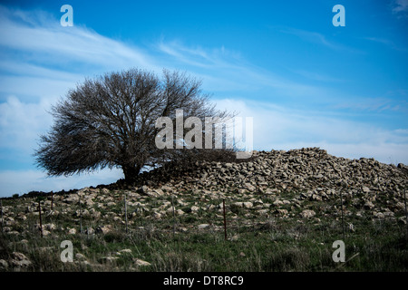 Rujm El Hiri, Gilgal or Galgal Refaim, Wheel of Spirits, Golan Heights, , Bashan,Israel Stock Photo