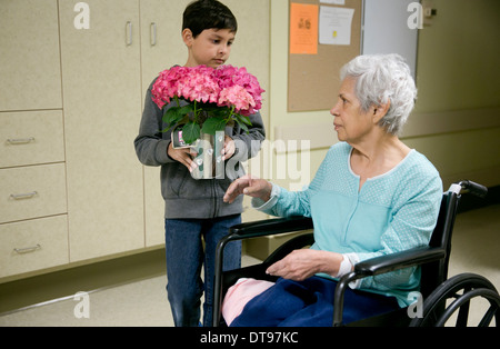 Grandson gives his Elderly Hispanic grandmother  in a wheelchair, a bouquet of flowers while she is at a rehabilitation hospital Stock Photo