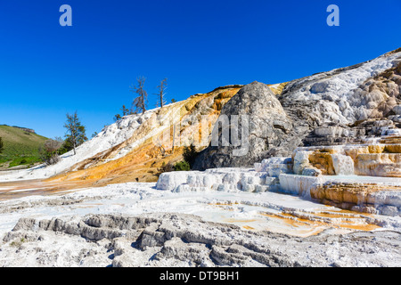 Travertine terraces at Palette Spring, Mammoth Hot Springs, Yellowstone National Park, Wyoming, USA Stock Photo