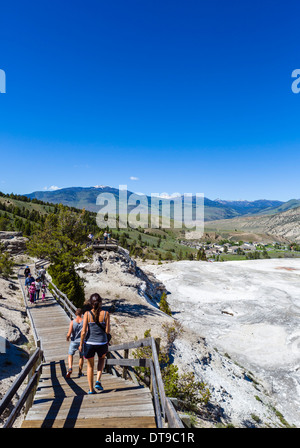 Boardwalk alongside the Main Terrace at Mammoth Hot Springs Terraces, Yellowstone National Park, Wyoming, USA Stock Photo