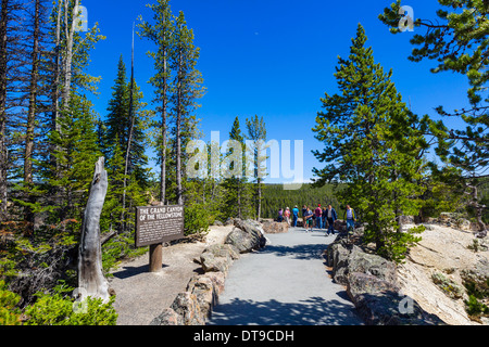 Tourists at Grand View on North Rim overlooking the Grand Canyon of the Yellowstone, Yellowstone National Park, Wyoming, USA Stock Photo