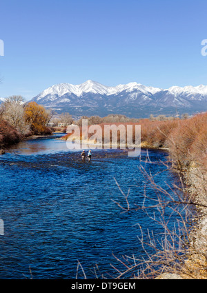 Winter fly fisherman on Arkansas RIver which runs through the downtown historic district of the small mountain town of Salida CO Stock Photo
