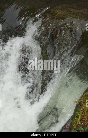 Waterfall. Upper reaches of Savegre River, Talamanea Mountains, Costa Rica. Central America. Stock Photo