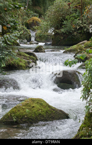 Waterfall. Upper reaches of Savegre River, Talamanea Mountains, Costa Rica. Central America. Stock Photo