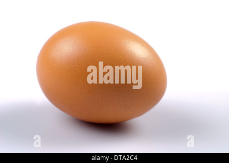 One beige egg isolated on white. Close up Stock Photo