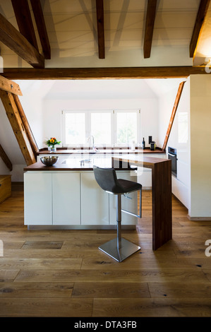 kitchen, loft apartment, kitchens, loft apartments Stock Photo - Alamy