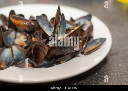 Mussel shells on a plain white plate Stock Photo