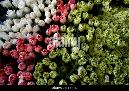 Gaza, Palestinian Territories. 13th Feb, 2014. A Palestinians prepare flowers at a flower farm in Rafah Refugee camp, southern Gaza Strip on February 13, 2014. Palestinian farmers export flowers for the Christian themed Valentine's Day to many European countries, and the holiday has gained popularity in some Muslim-dominated Arab countries over the past few years. Photo by Abed Rahim Khatib / NurPhoto Credit:  Abed Rahim Khatib/NurPhoto/ZUMAPRESS.com/Alamy Live News Stock Photo